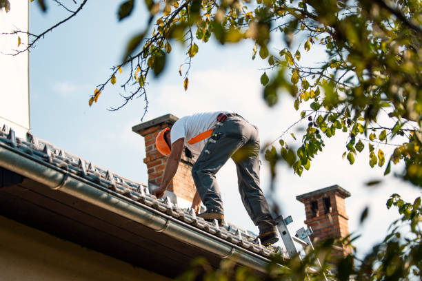 Best Metal Roofing Contractor  in Spotsylnia Courthouse, VA
