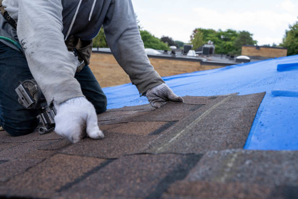 Best Flat Roof Repair Services  in Spotsylnia Courthouse, VA