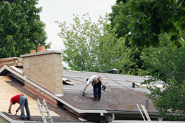 Best Roof Gutter Cleaning  in Spotsylnia Courthouse, VA