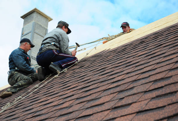 Trusted Spotsylvania Courthouse, VA Roofing Contractor Experts